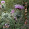 Organic Milk Thistle & Artichoke Extract Complex Rich in Silymarin & Bitters Liver Support Detox Supplement 120 Capsules 60 Days Supply Vegan Made in