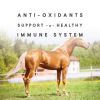 Equine Vitamin and Mineral Supplement Powder – 5 lbs, Supports Coat Shine, Hoof Strength & Vitality